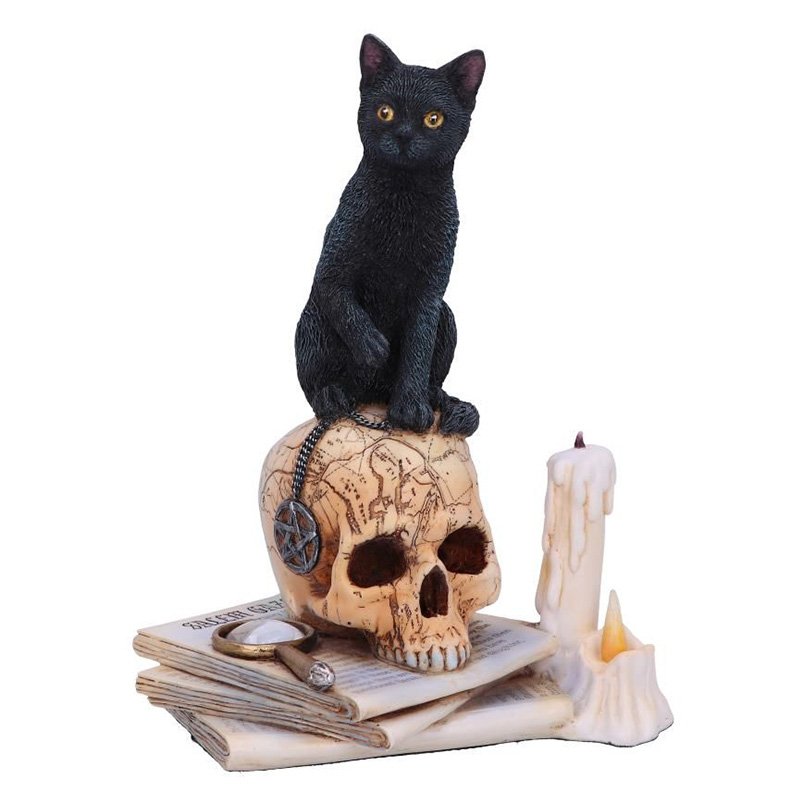  Cat on Skull  -    | Loft Concept 