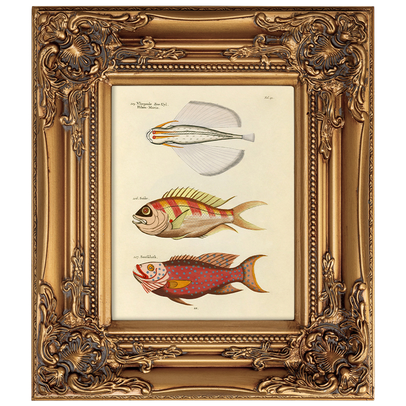       Fishes 7     | Loft Concept 