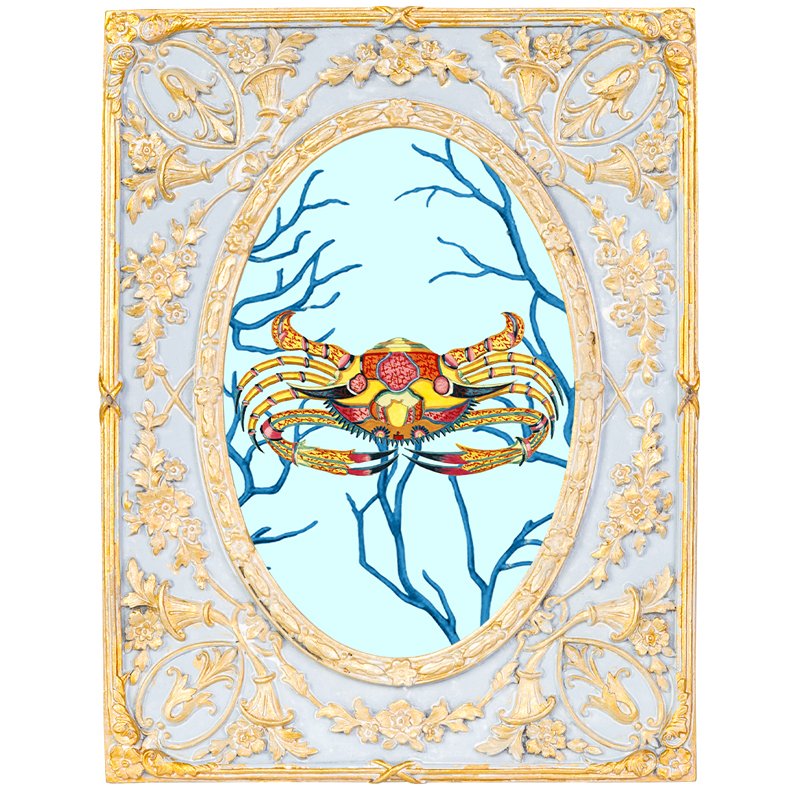       Seashell Still Life 2      | Loft Concept 
