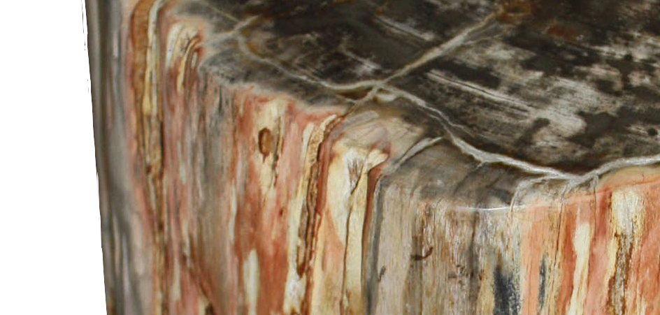 Стул из окаменелого дерева SWS003 - фото №2