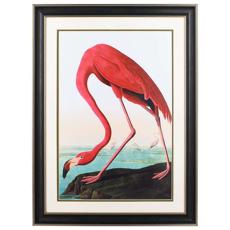 Постер Red Flamingo