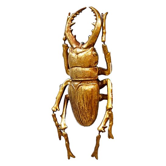   Stag Beetle    | Loft Concept 