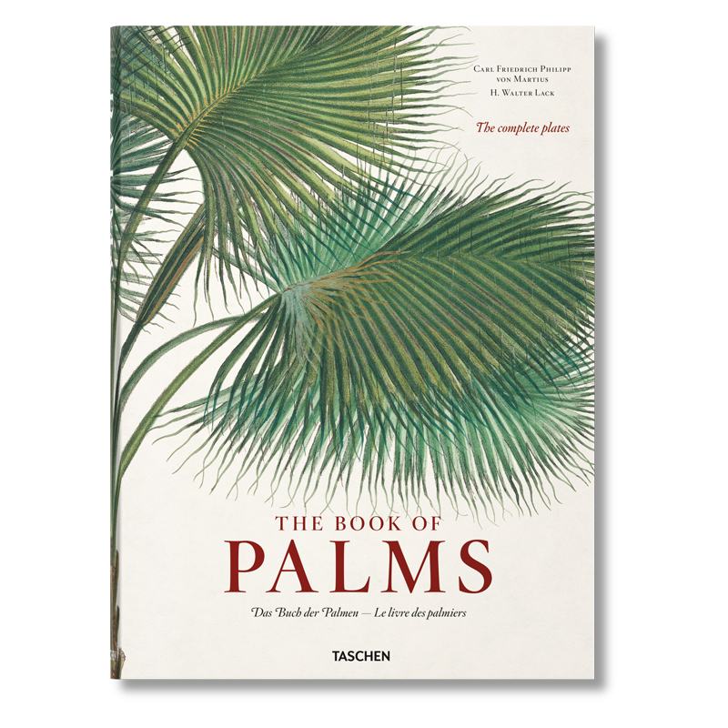  The Book of Palms    | Loft Concept 