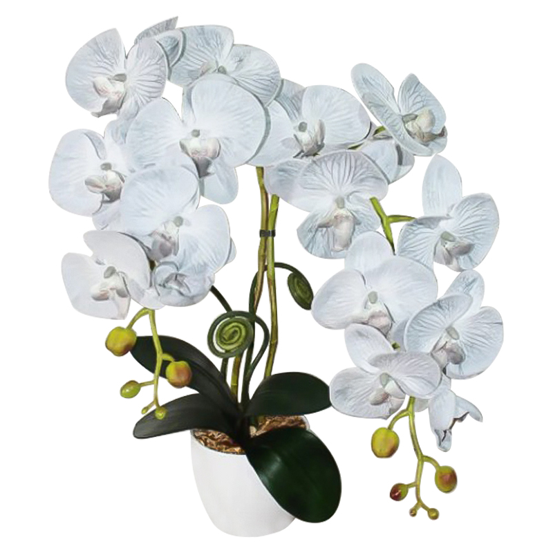    Orchid gray    | Loft Concept 