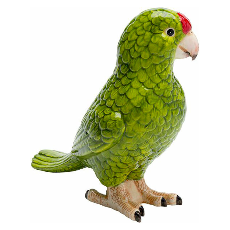    Parrot    | Loft Concept 