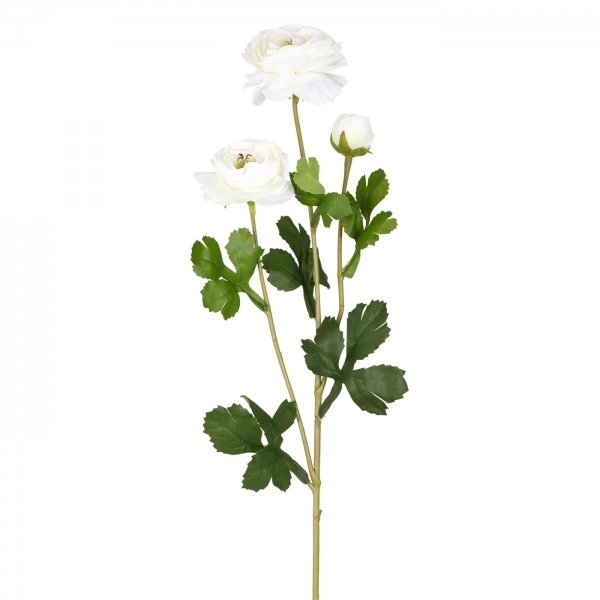    White Peony Rose     | Loft Concept 