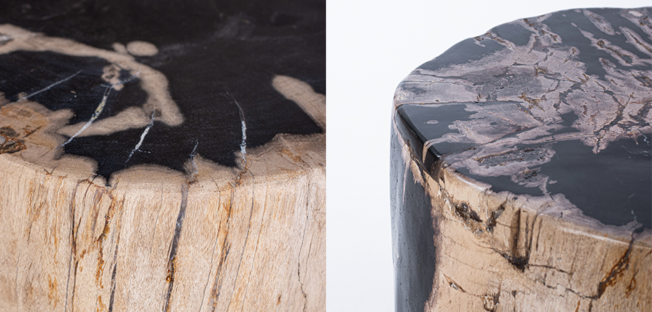 Пенек из окаменелого дерева black and white - фото №1