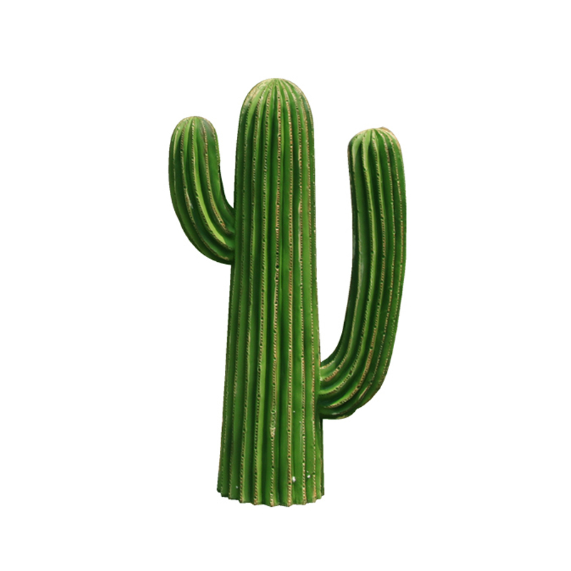  Cactus 50    | Loft Concept 