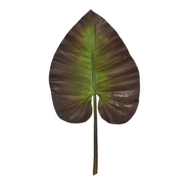    Waterlily Leaf    | Loft Concept 