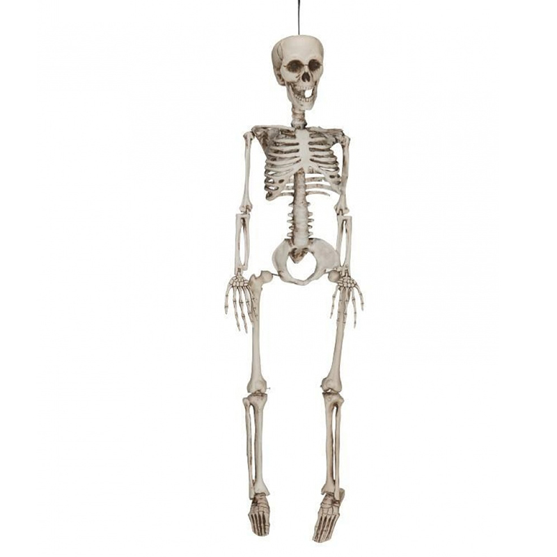  HALLOWEEN Skeleton    | Loft Concept 