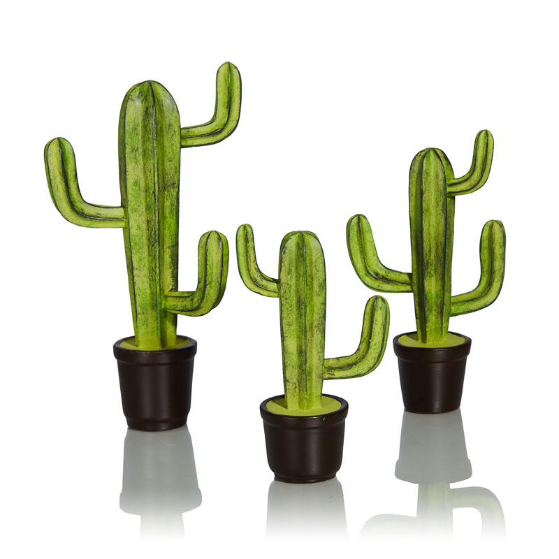   Potted Cacti     | Loft Concept 