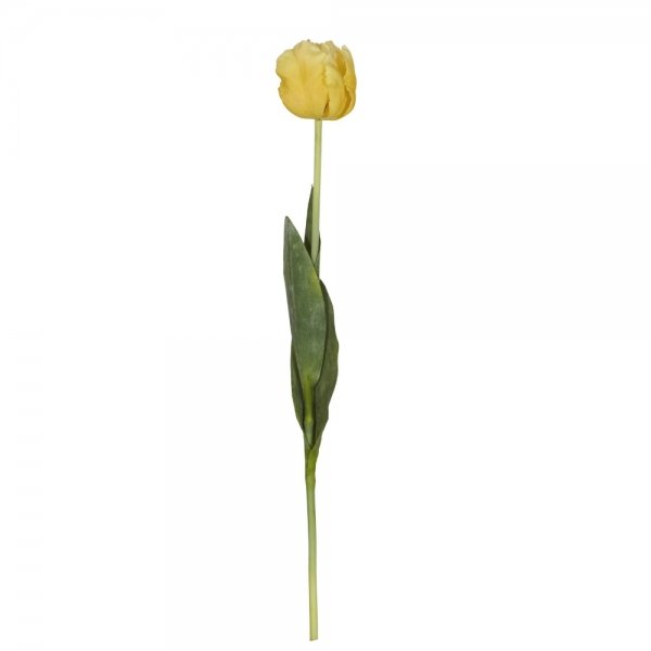    Yellow Tulip     | Loft Concept 