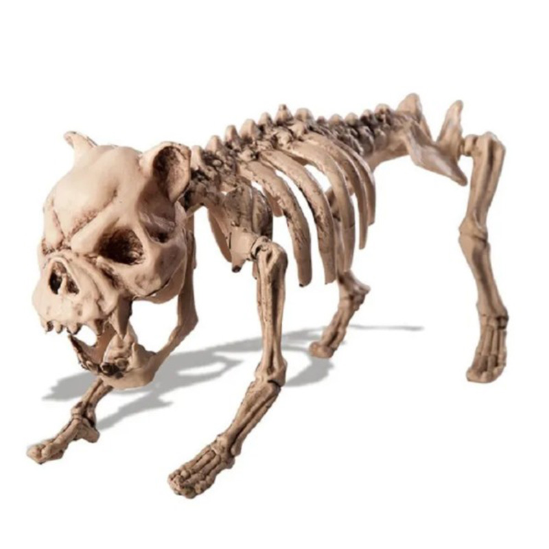  Dog Skeleton -   | Loft Concept 