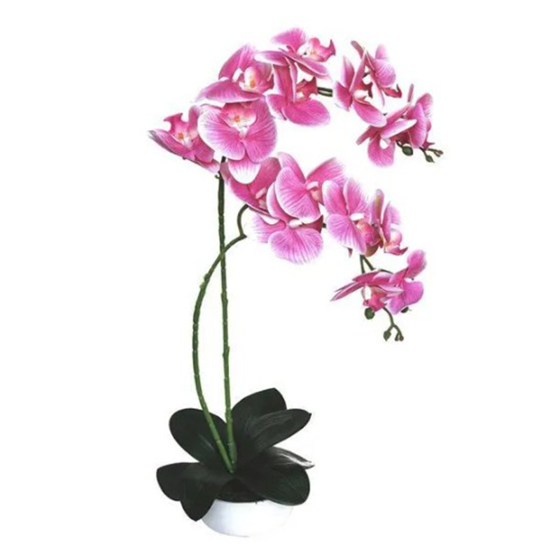    Orchid pink    | Loft Concept 