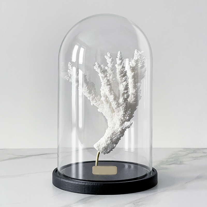  Natural Coral Branch Glass Cloche    | Loft Concept 