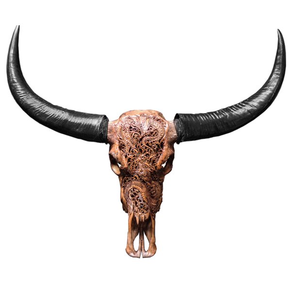   Buffalo Skull Dragon       | Loft Concept 