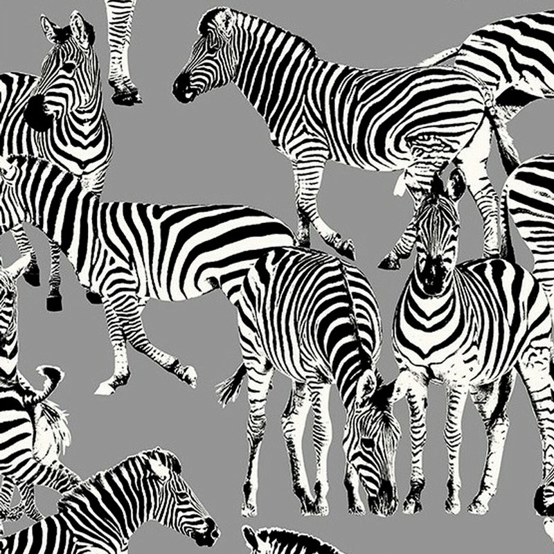    Zebras Mid Grey    | Loft Concept 