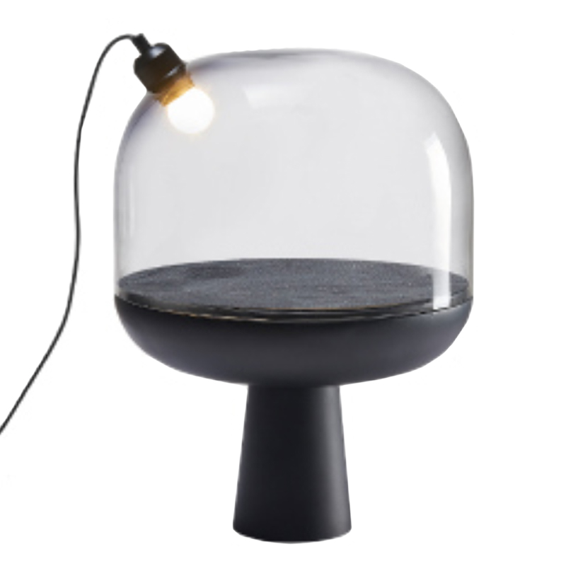  Curiosity object lamp      | Loft Concept 