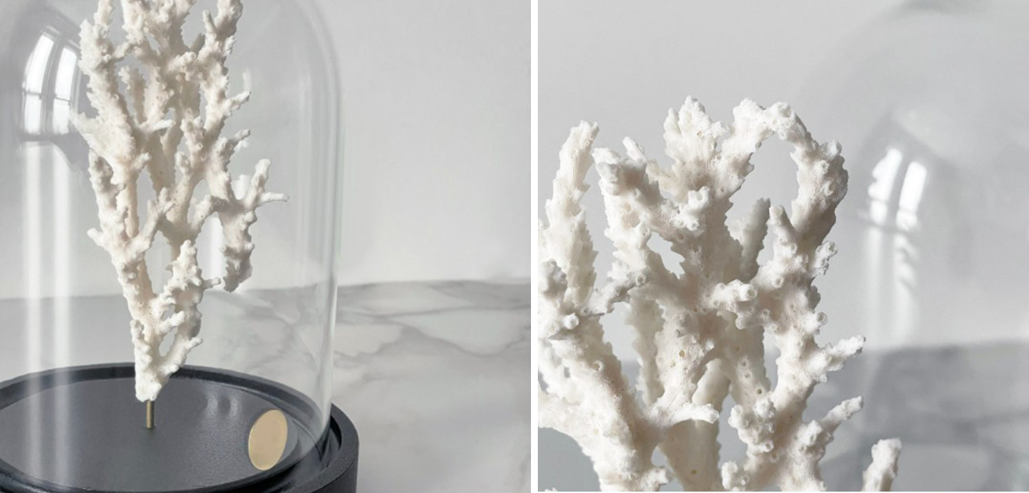 Статуэтка White Coral Glass Cloche - фото