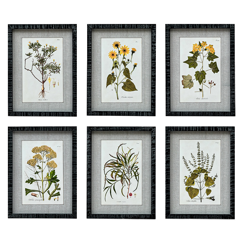   Herbarium Yellow Flowers    | Loft Concept 