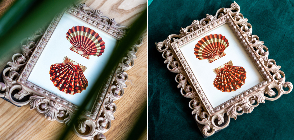 Постер Red Scallop Poster - Loft-Concept в Москве