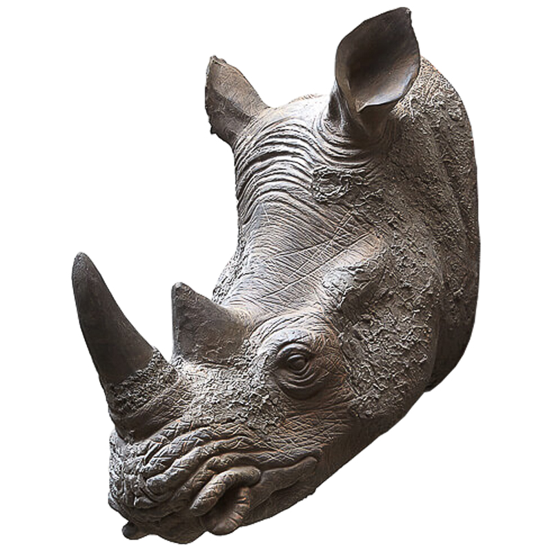    Rhinoceros    | Loft Concept 