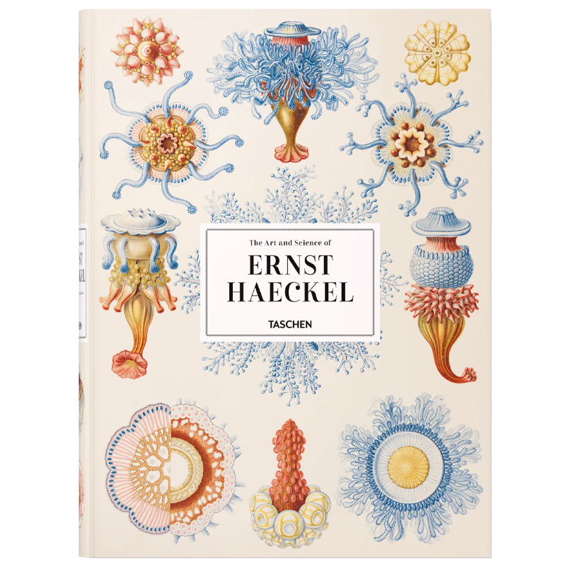 The Art and Science of Ernst Haeckel XXL    | Loft Concept 