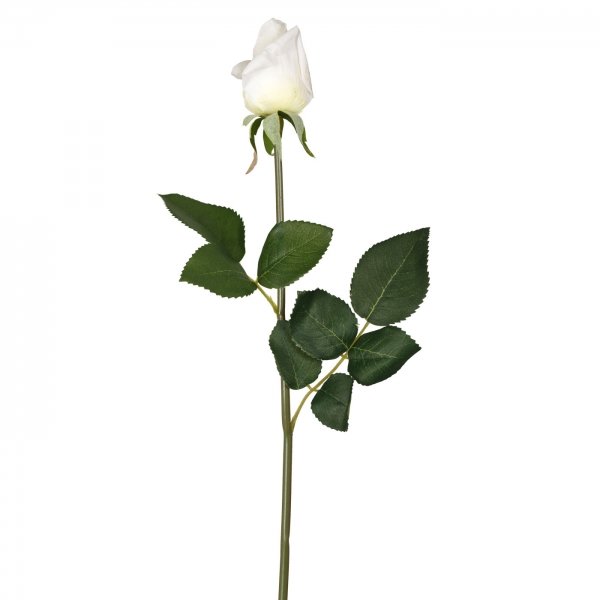    White Rose     | Loft Concept 