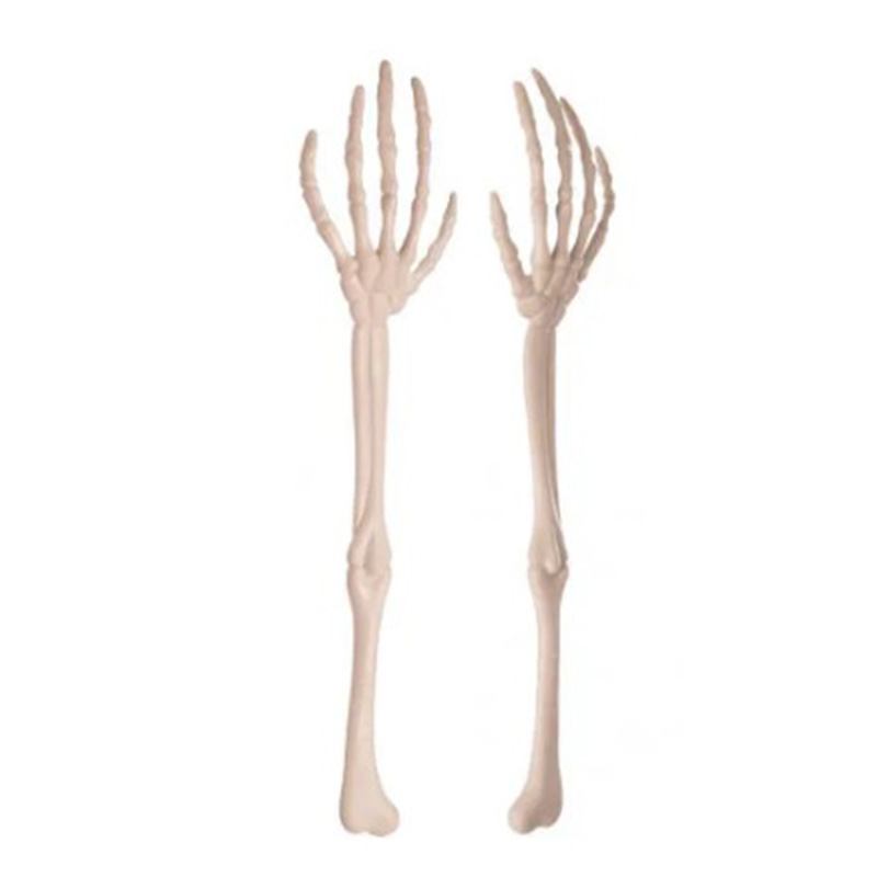  Skeleton Hands    | Loft Concept 