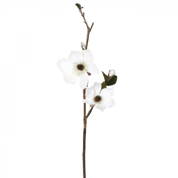   White Magnolia     | Loft Concept 