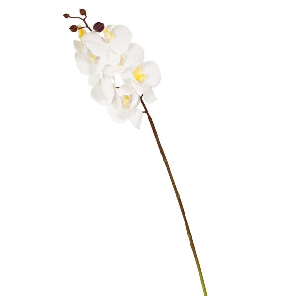    Mini White Orchid     | Loft Concept 