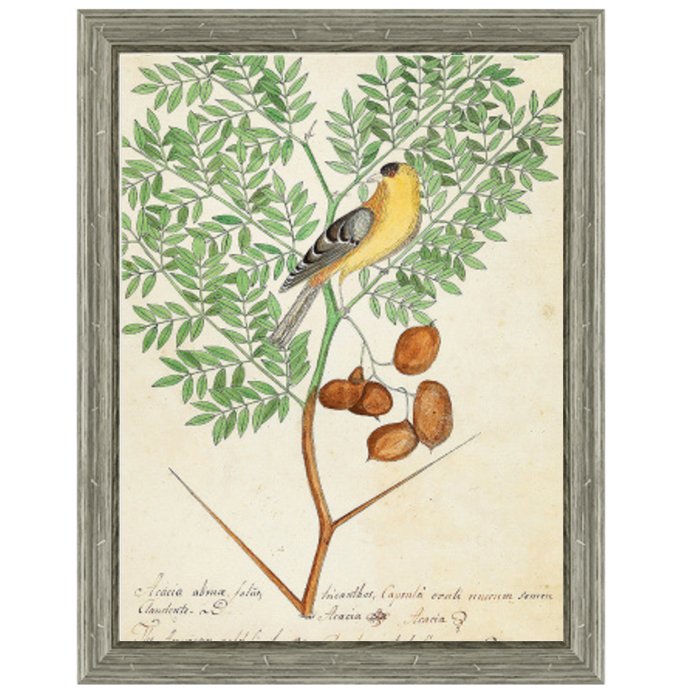  Paradise Bird On Branch    | Loft Concept 
