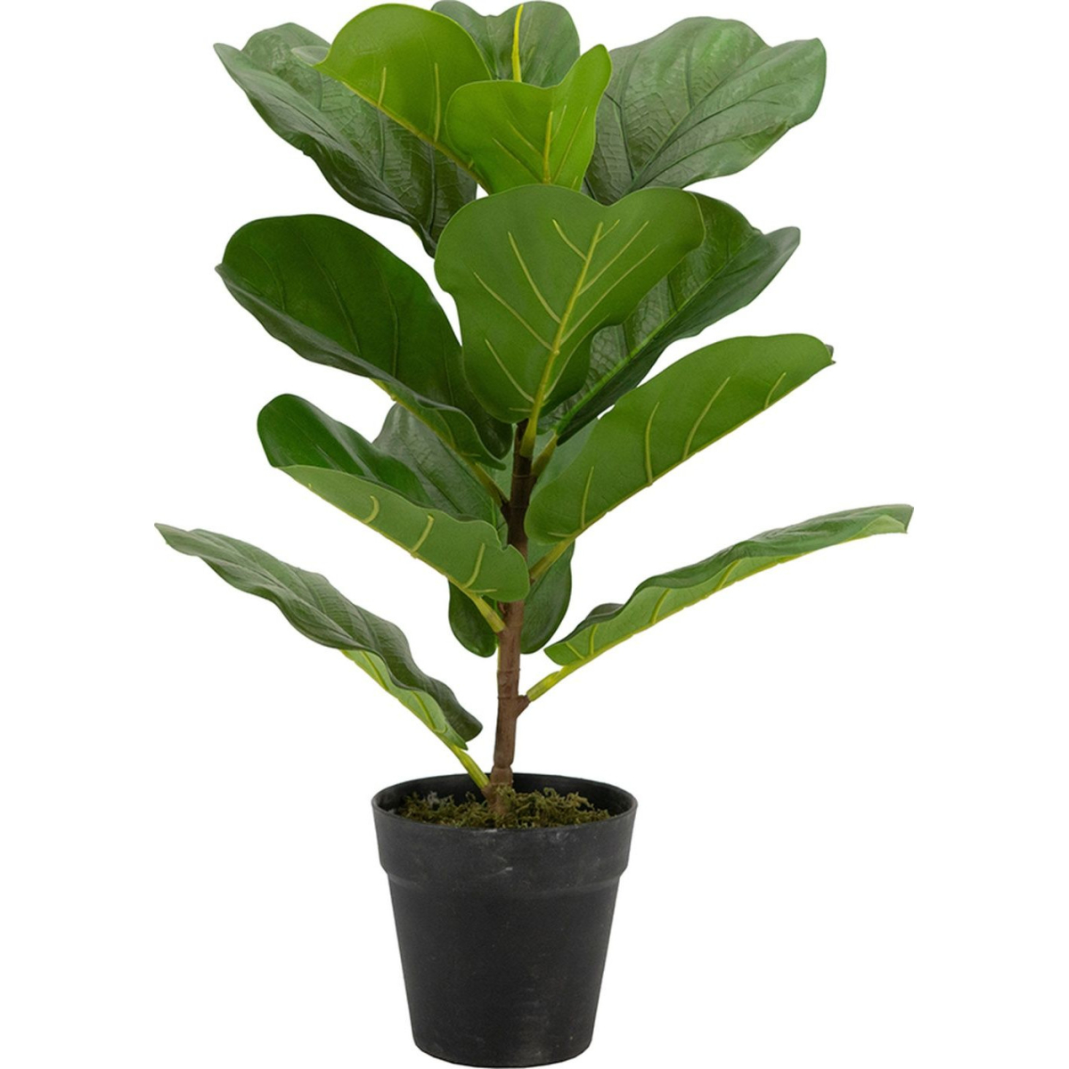 

Декоративный искусственное растение Ficus broadleaf