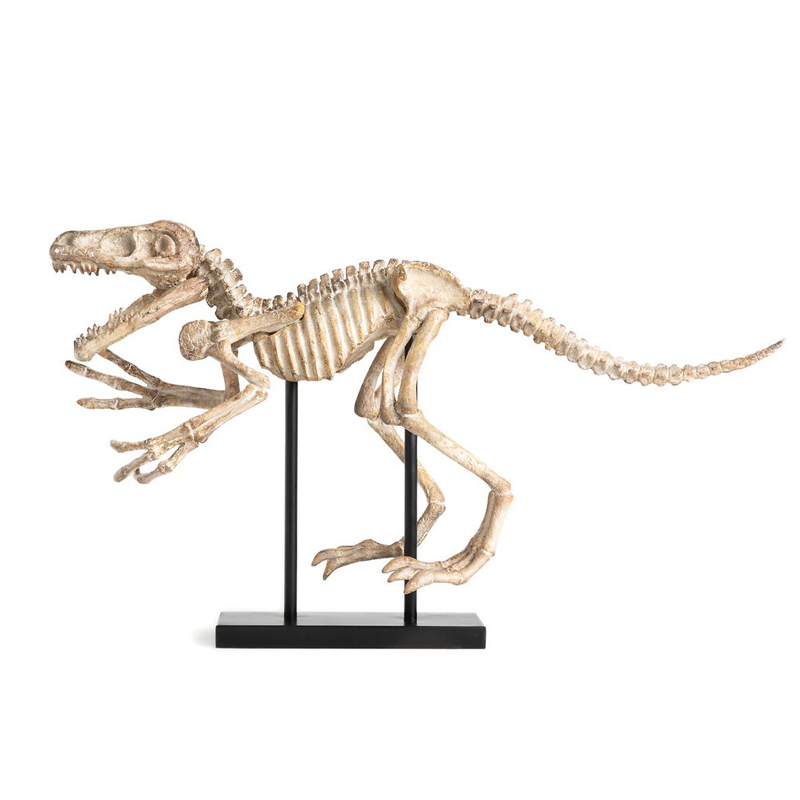  Dinosaur Skeleton big -   | Loft Concept 