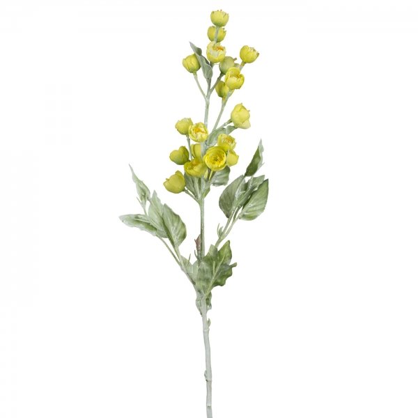    Yellow Inflorescence     | Loft Concept 
