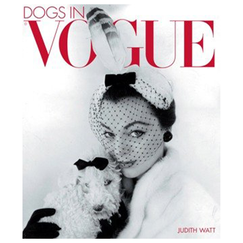  Dogs in Vogue    | Loft Concept 