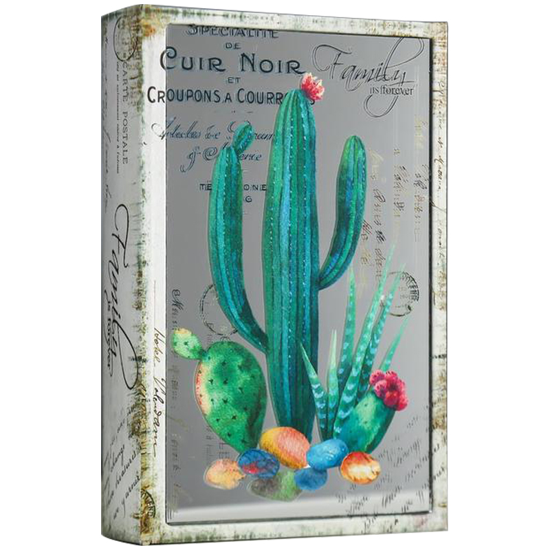 Шкатулка-книга Cactus Mirror Book Box