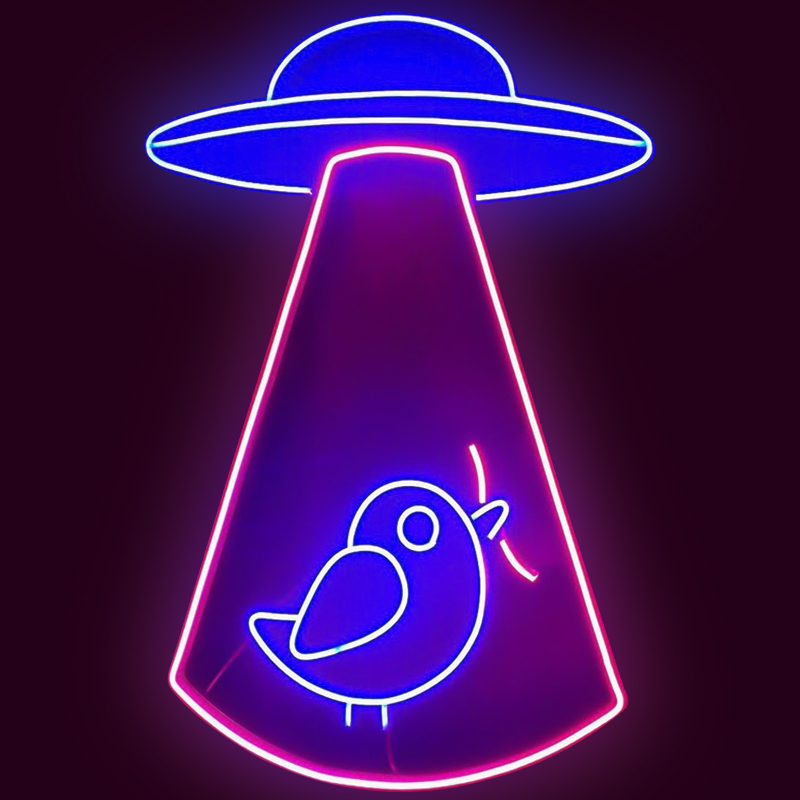    UFO and Bird Neon Wall Lamp     | Loft Concept 