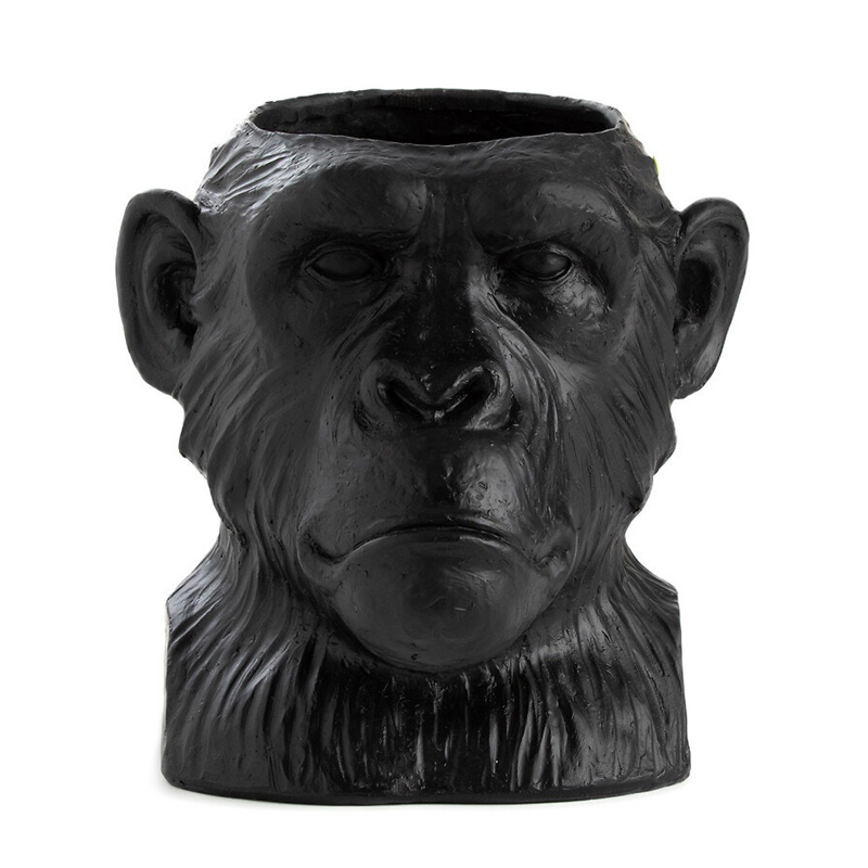 Black Monkey     | Loft Concept 