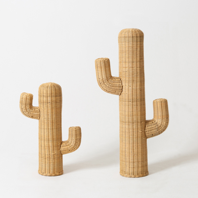  Braided Cactus    | Loft Concept 