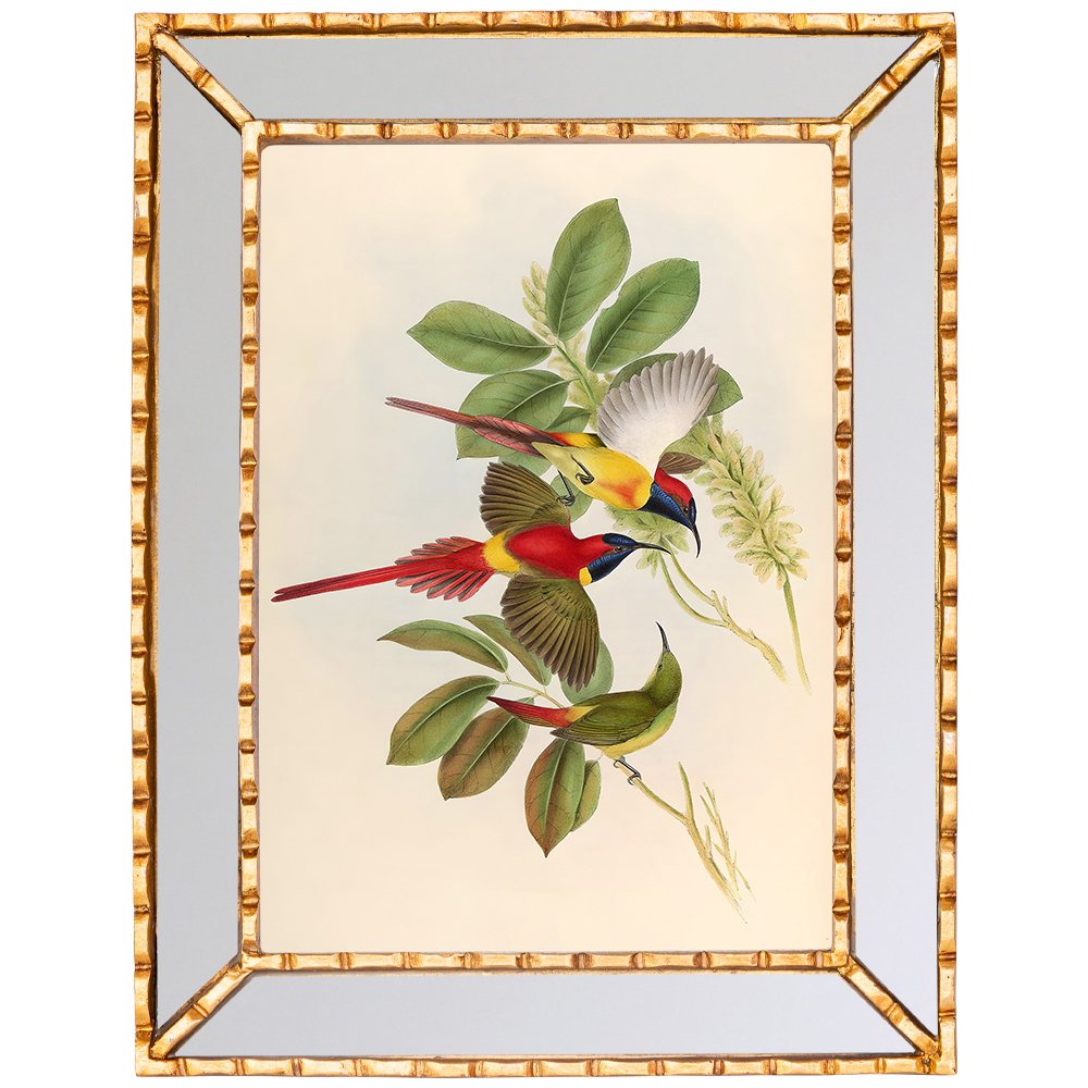 

Постер с изображением птиц и цветов в зеркальной раме Blooming Birds Poster