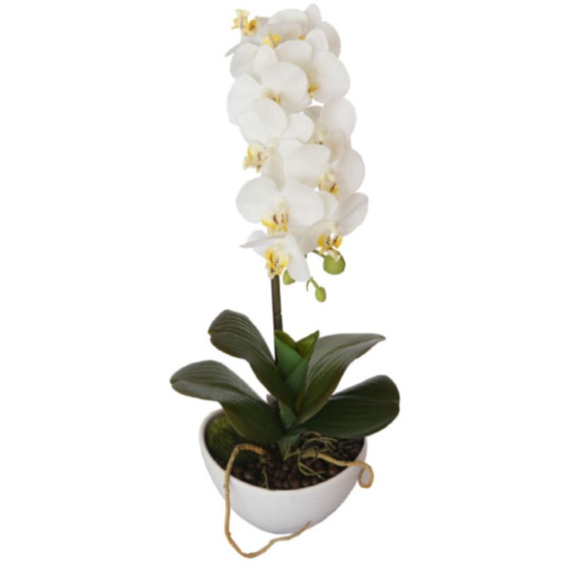 

Искусственная орхидея Anthyra Darwin
