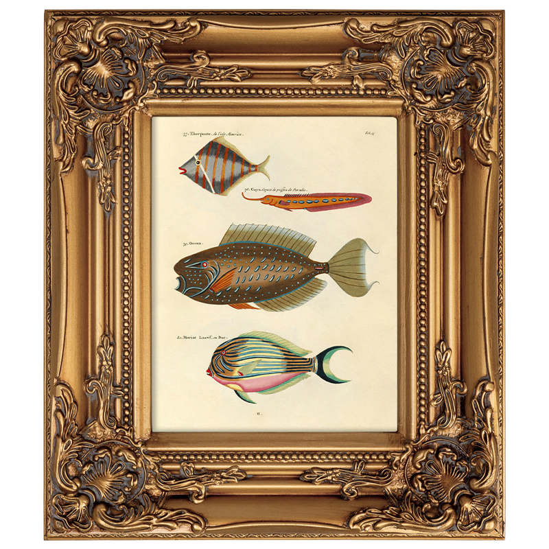       Fishes     | Loft Concept 