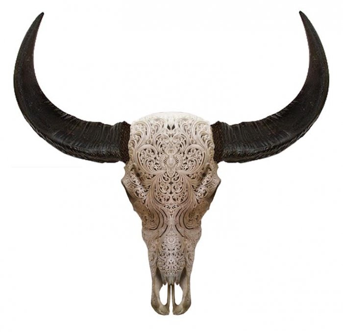     Buffalo Skull Tribal Carving    | Loft Concept 