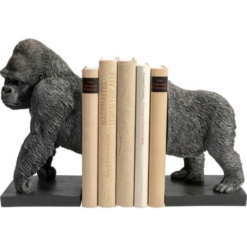    King Kong Books     | Loft Concept 