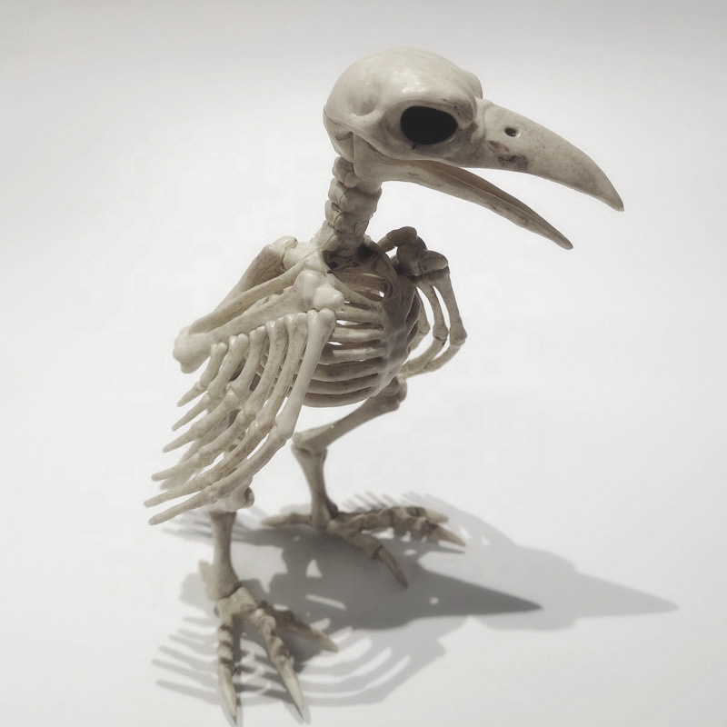  Crow Skeleton    | Loft Concept 