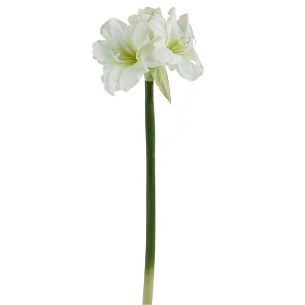    Big White Flower     | Loft Concept 