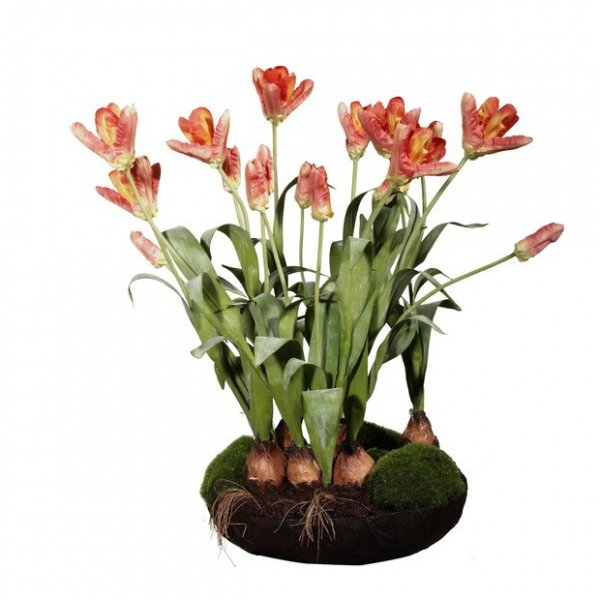    Orange Tulips     | Loft Concept 