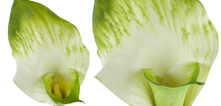 Декоративный искусственный цветок Calla Декоративный искусственный цветок Calla - Loft-Concept в Москве