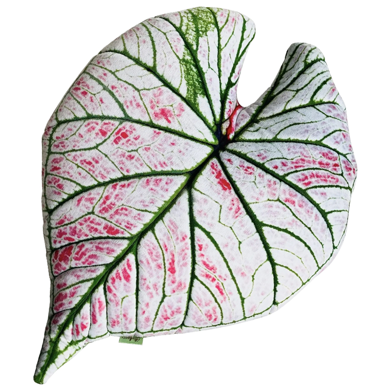   Botanical Cushion Caladium Rosebud      | Loft Concept 